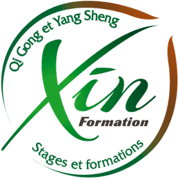 Logo Xin Formation